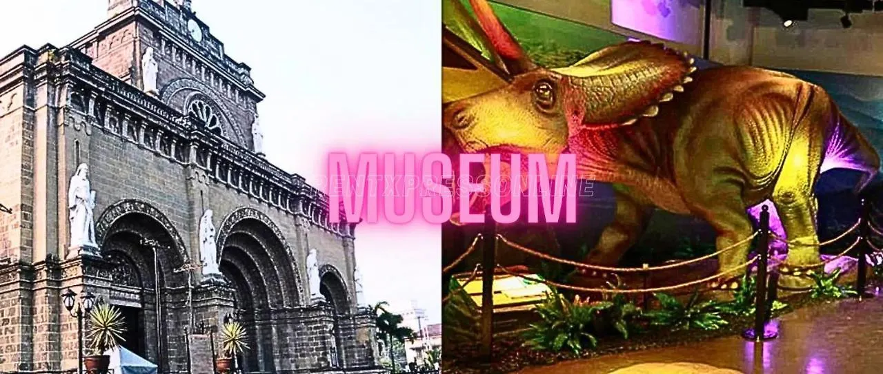 Place To Stay Book Now Free Pool, Free Sauna, Sea View, And 40 Percent Discount Promo This Month Units Complete With A Balcony And Stunning Views Of Manila Bay Located In The Heart Of Manila Updated 2025 Price Philippines